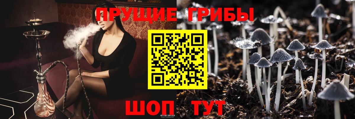 Галлюциногенные грибы GOLDEN TEACHER  Галлюциногенные грибы Psilocybine cubensis  Вход с VPN  Нижнеудинск 